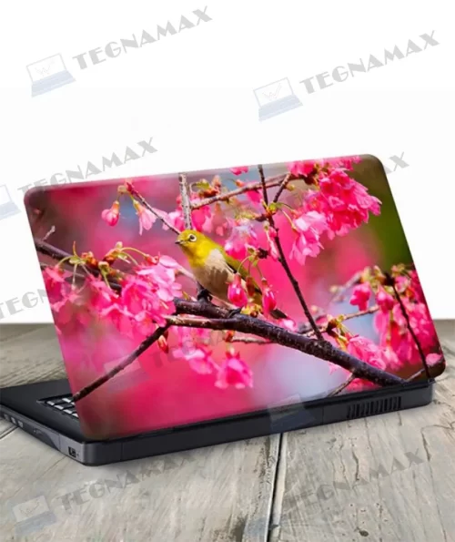 SKINS PARA LAPTOP DE 14P