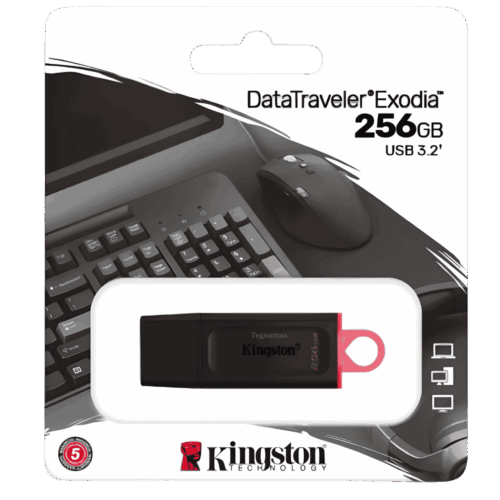 Memoria Flash USB Kingston DataTraveler 256GB 3.2 Gen 1 Black Alta Capacidad