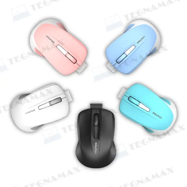 TEG01393.webp