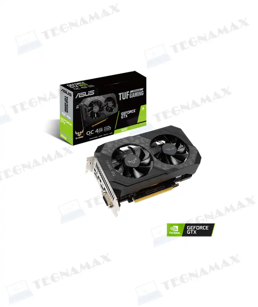 TEG01231-1.webp