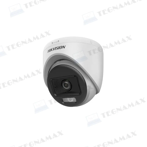 TEG01833.webp