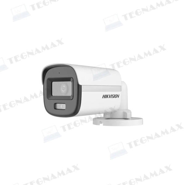 TEG01834.webp
