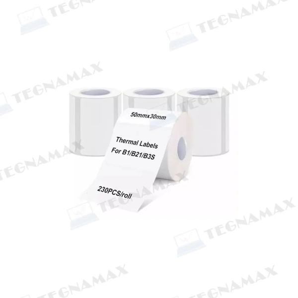 TEG01838.webp