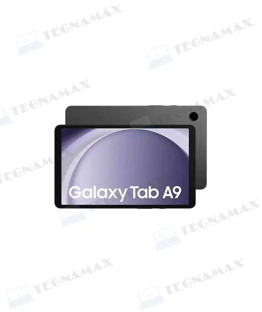 TEG01842.webp