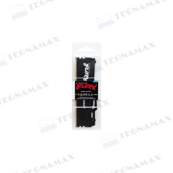 TEG01849.webp