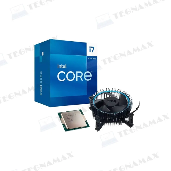 TEG01852.webp