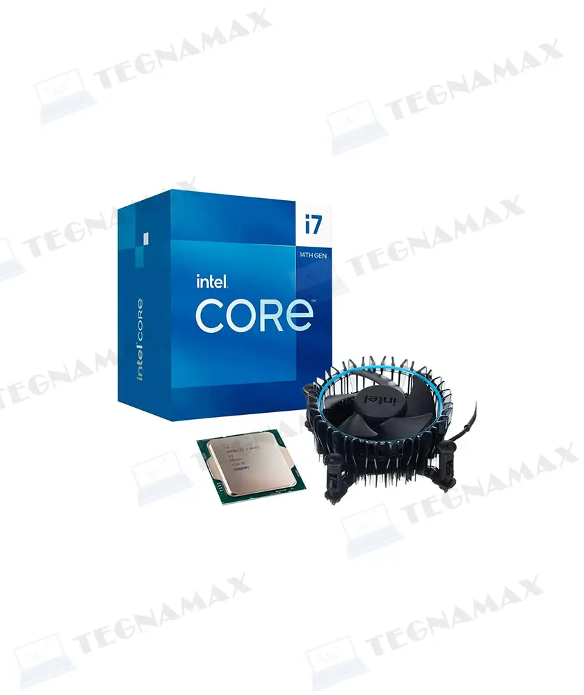TEG01852.webp
