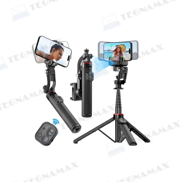 TEG01856.webp